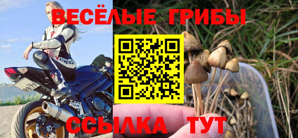 Гусь-Хрустальный  Псилоцибиновые грибы Cubensis  Псилоцибиновые грибы прущие грибы  Вход с VPN 